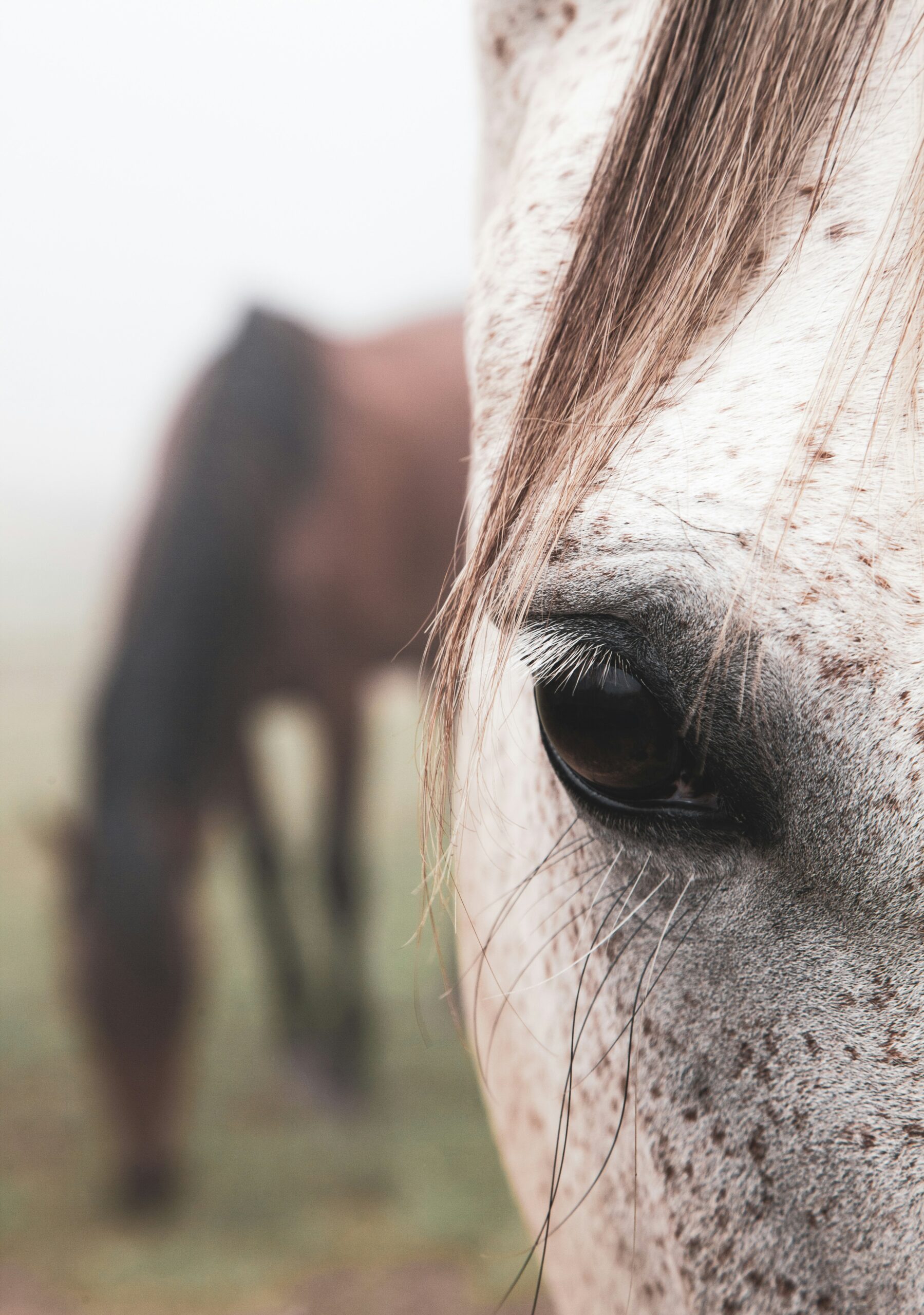 deleece cook pk9o5kf4eii unsplash