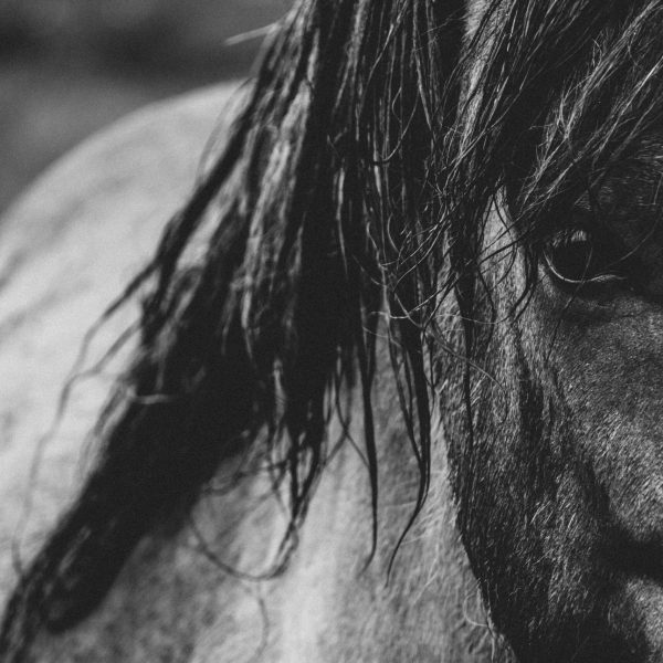 rex pickar k czncpboya unsplash